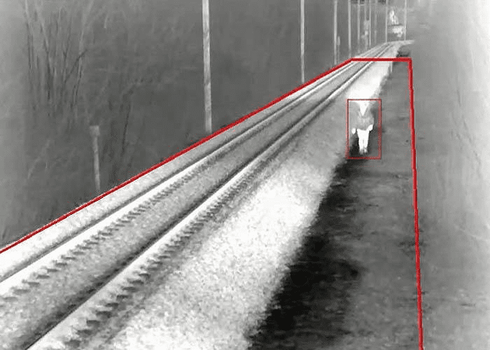 قابلیت عبور از خط در دوربین مدار بسته (Line Crossing)